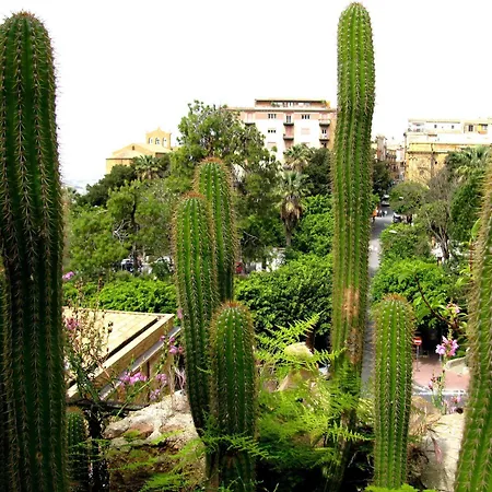 Le Palme Bed & Breakfast